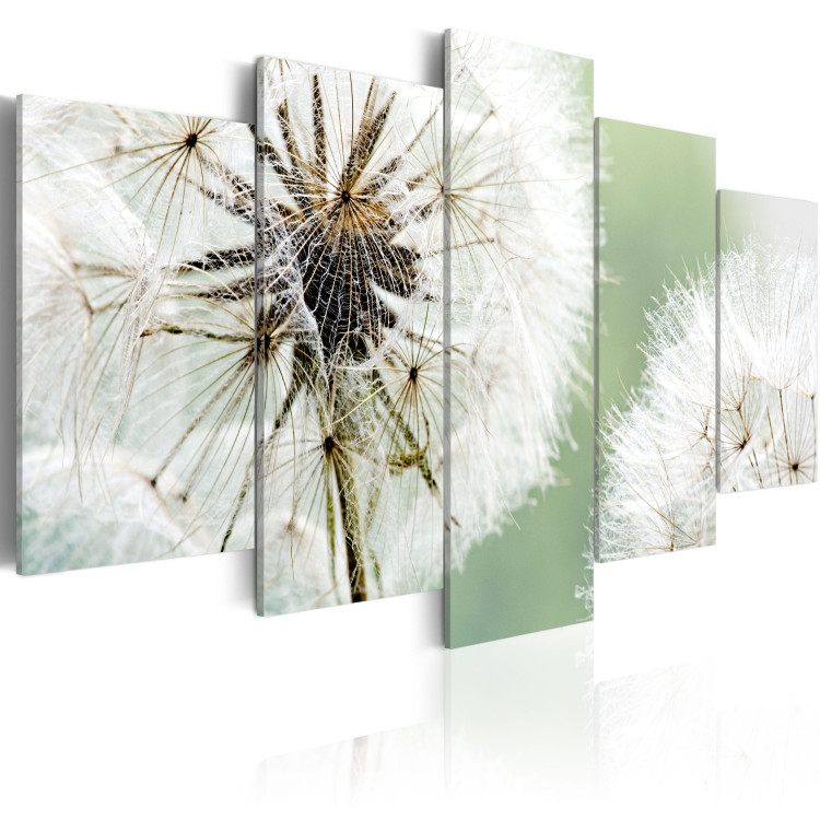 Canvas Print Dandelions waiting for the wind 58612 additionalImage 2