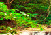 Canvas Art Print Emerald Waterfall 61912 additionalThumb 5