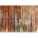 Wall Mural Forest Cottage 91412 additionalThumb 1