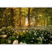 Photo Wallpaper Forest flora 97312 additionalThumb 1