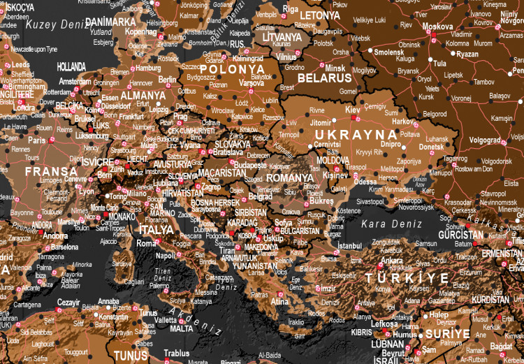 Cork Pinboard Brown World Map [Cork Map - Turkish Text] 105922 additionalImage 6