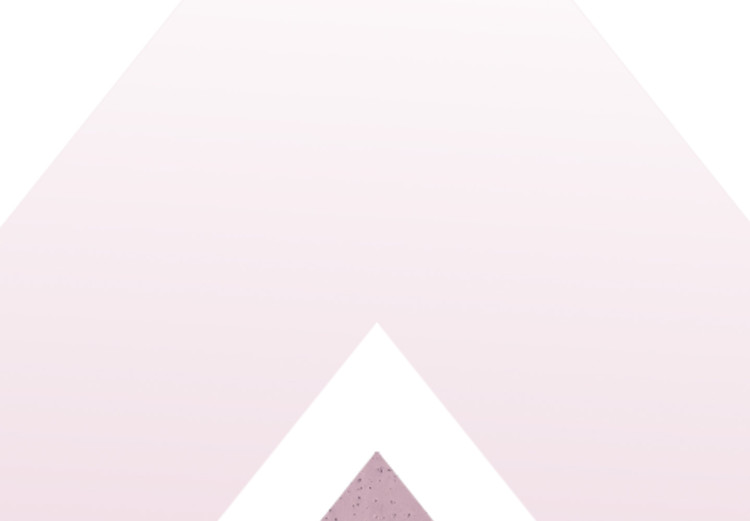 Poster Acceleration - Geometric abstraction in shades of pink with a white background 114222 additionalImage 8