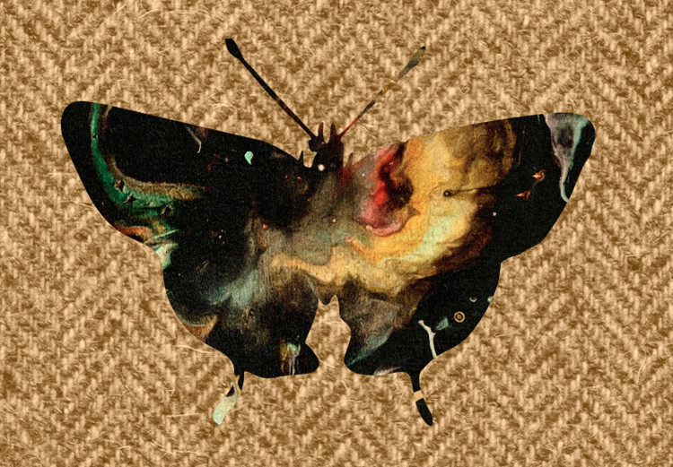 Canvas Collector Butterfly (1 Part) Vertical 118122 additionalImage 5