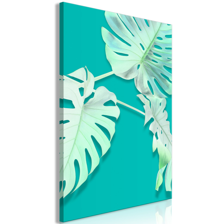 Canvas Monstera variegata - white monstera leaves on a turquoise background 122622 additionalImage 2
