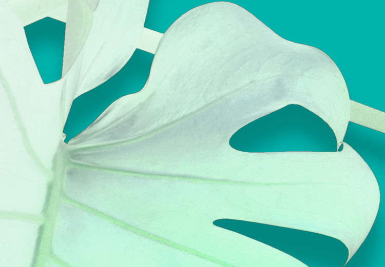 Canvas Monstera variegata - white monstera leaves on a turquoise background 122622 additionalImage 5