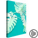Canvas Monstera variegata - white monstera leaves on a turquoise background 122622 additionalThumb 6