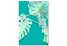Canvas Monstera variegata - white monstera leaves on a turquoise background 122622