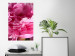 Poster Beautiful Peonies - flower with pink petals on the background of the same flowers 122822 additionalThumb 23