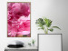 Poster Beautiful Peonies - flower with pink petals on the background of the same flowers 122822 additionalThumb 7