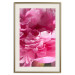 Poster Beautiful Peonies - flower with pink petals on the background of the same flowers 122822 additionalThumb 19