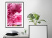 Poster Beautiful Peonies - flower with pink petals on the background of the same flowers 122822 additionalThumb 6