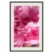 Poster Beautiful Peonies - flower with pink petals on the background of the same flowers 122822 additionalThumb 18