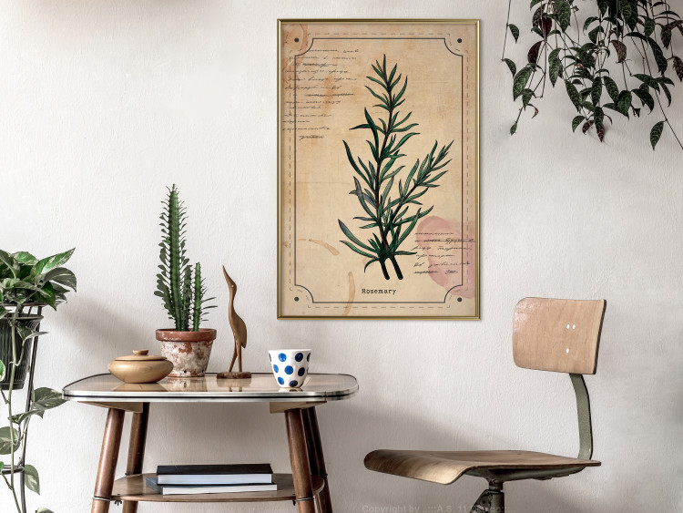 Wall Poster Herbalist's Dream - composition with green plant in vintage style 129422 additionalImage 5