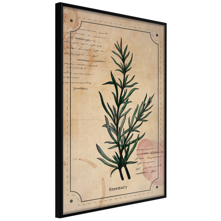 Wall Poster Herbalist's Dream - composition with green plant in vintage style 129422 additionalImage 13
