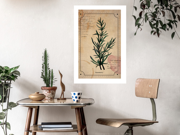 Wall Poster Herbalist's Dream - composition with green plant in vintage style 129422 additionalImage 5