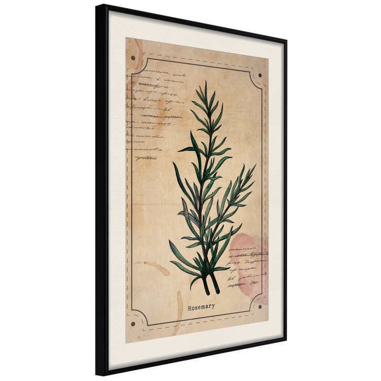 Wall Poster Herbalist's Dream - composition with green plant in vintage style 129422 additionalImage 2