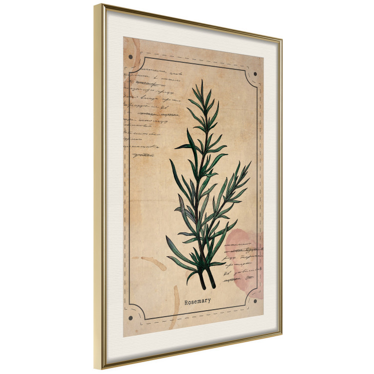Wall Poster Herbalist's Dream - composition with green plant in vintage style 129422 additionalImage 3