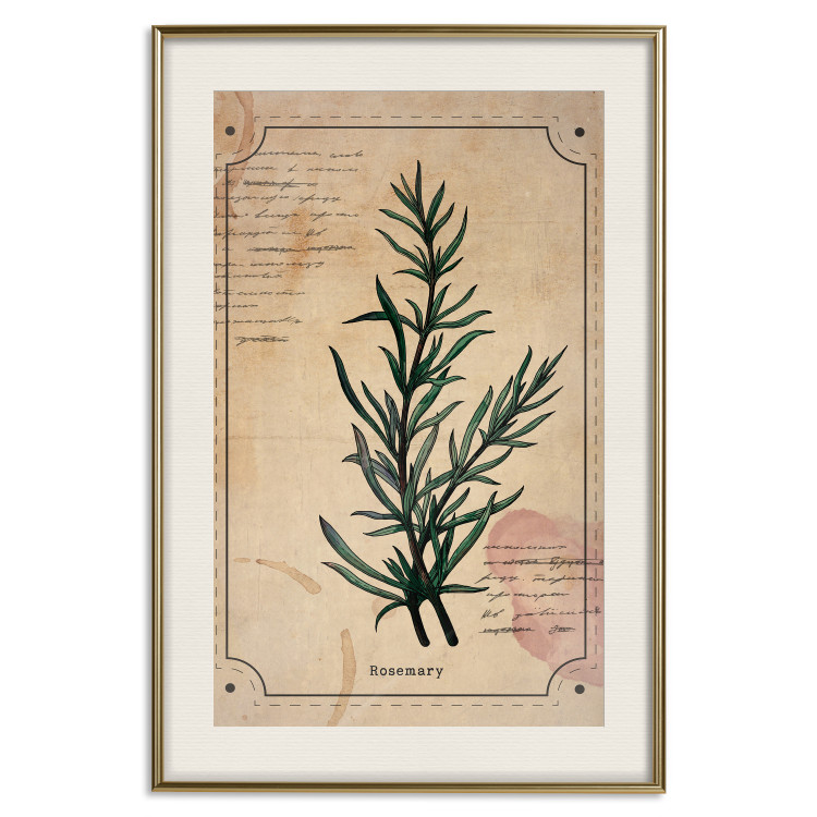 Wall Poster Herbalist's Dream - composition with green plant in vintage style 129422 additionalImage 20