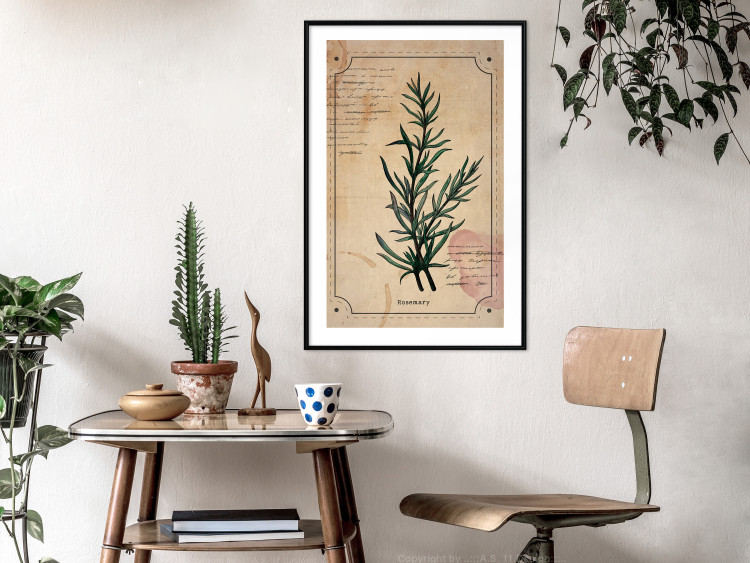 Wall Poster Herbalist's Dream - composition with green plant in vintage style 129422 additionalImage 18