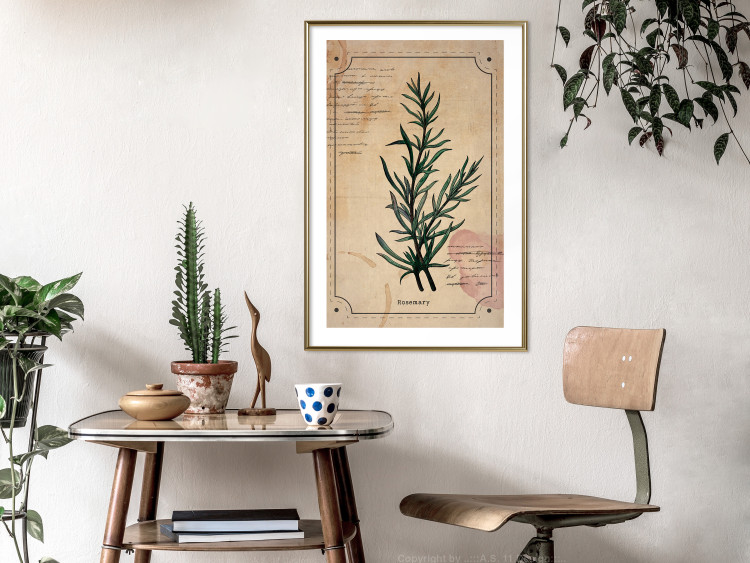 Wall Poster Herbalist's Dream - composition with green plant in vintage style 129422 additionalImage 13
