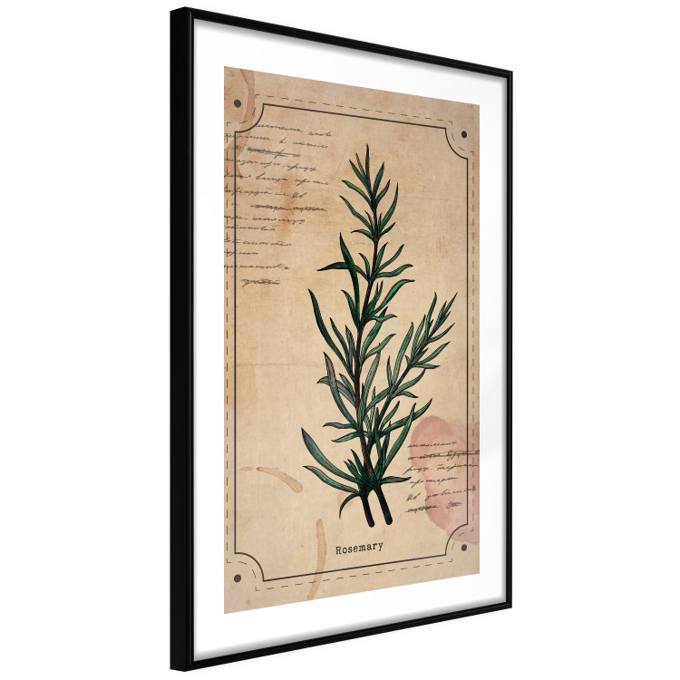Wall Poster Herbalist's Dream - composition with green plant in vintage style 129422 additionalImage 6