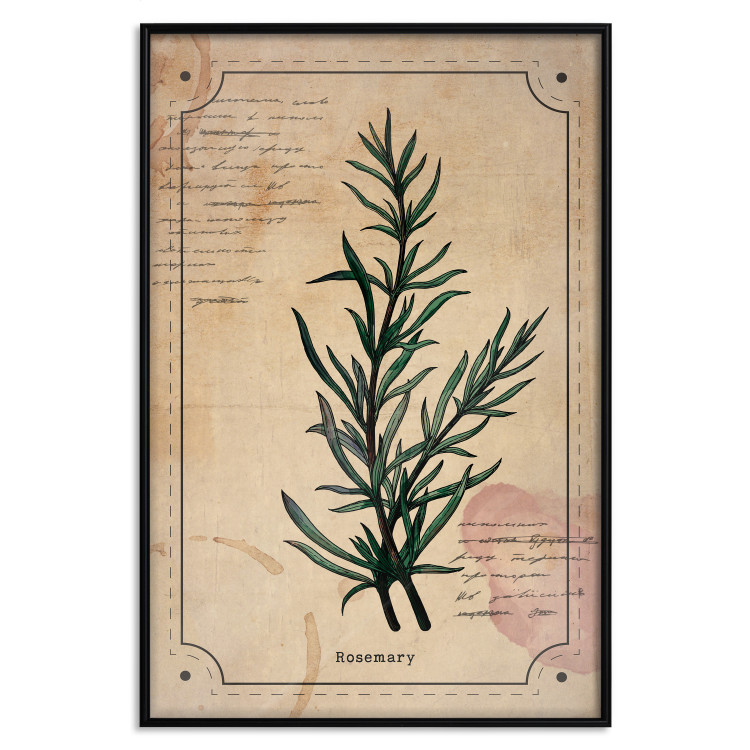 Wall Poster Herbalist's Dream - composition with green plant in vintage style 129422 additionalImage 16