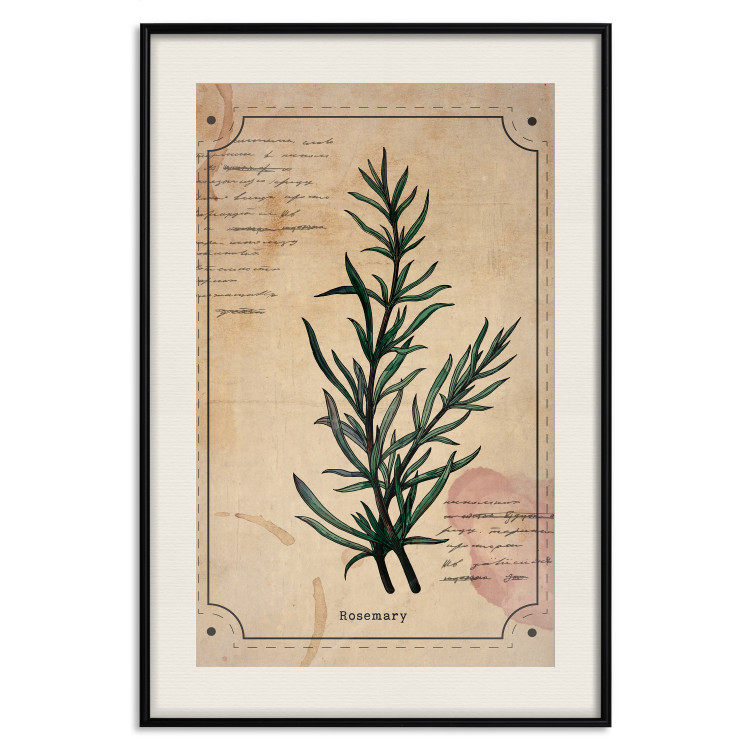 Wall Poster Herbalist's Dream - composition with green plant in vintage style 129422 additionalImage 19