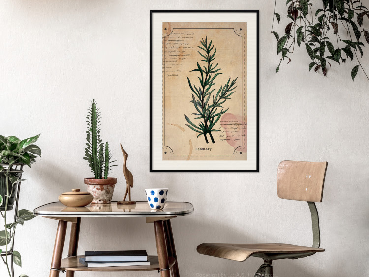 Wall Poster Herbalist's Dream - composition with green plant in vintage style 129422 additionalImage 24