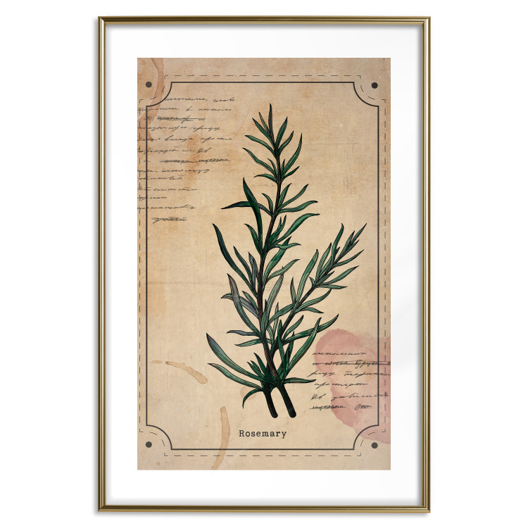 Wall Poster Herbalist's Dream - composition with green plant in vintage style 129422 additionalImage 14