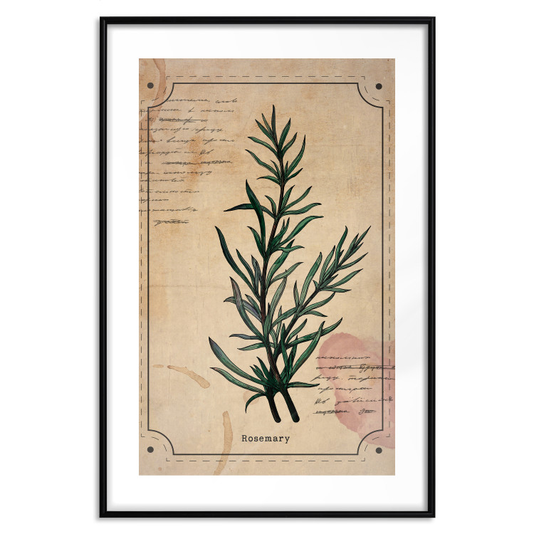 Wall Poster Herbalist's Dream - composition with green plant in vintage style 129422 additionalImage 15