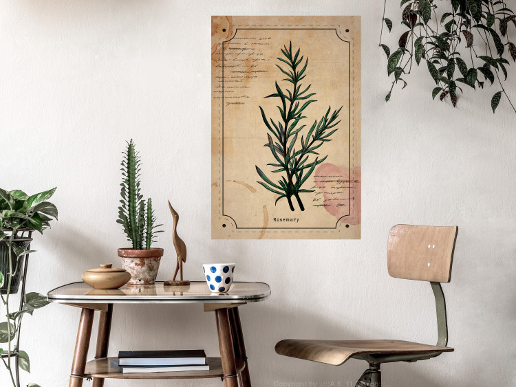 Wall Poster Herbalist's Dream - composition with green plant in vintage style 129422 additionalImage 2