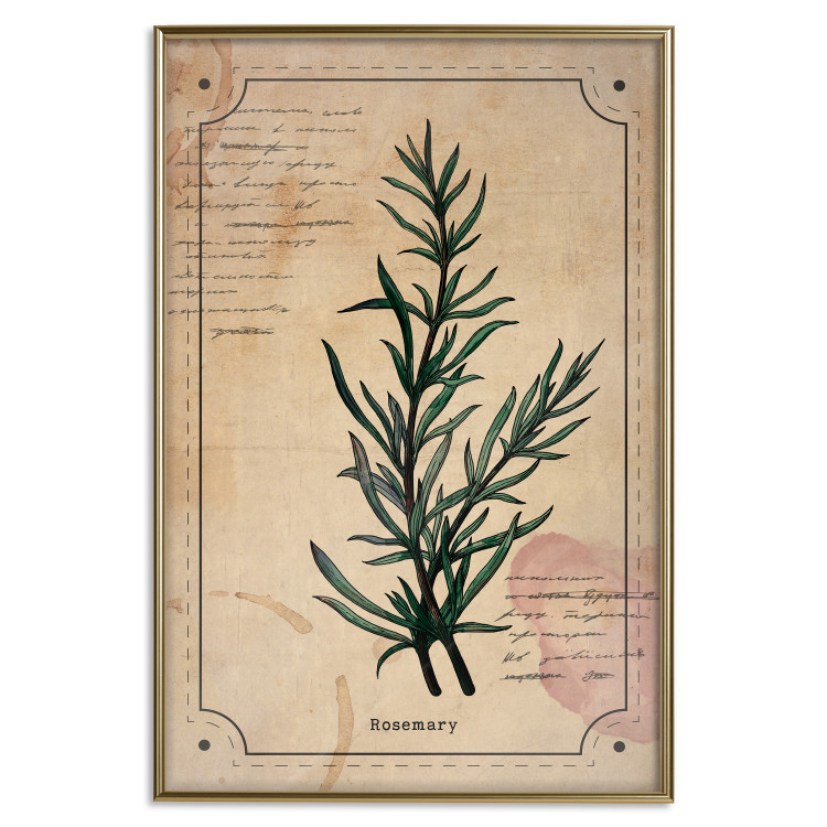 Wall Poster Herbalist's Dream - composition with green plant in vintage style 129422 additionalImage 17