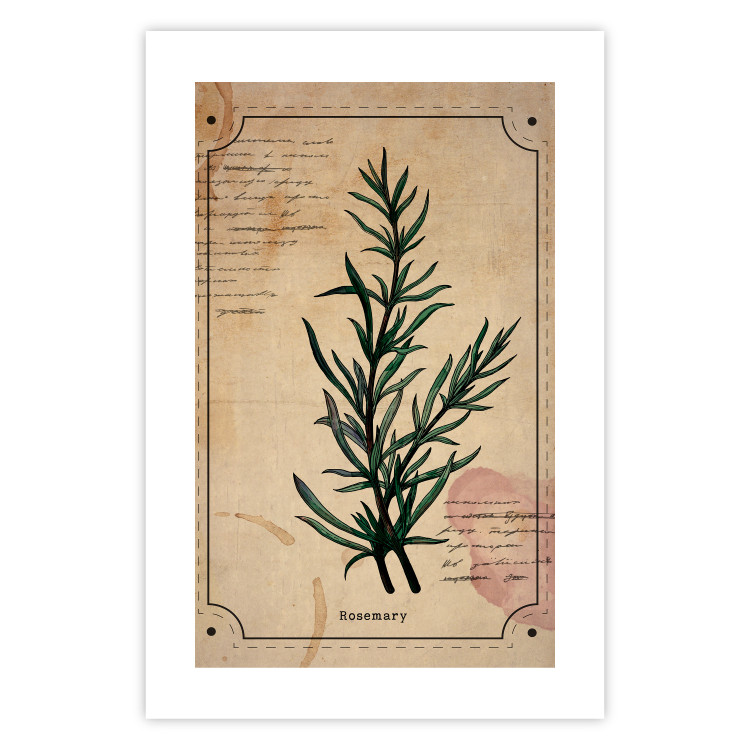 Wall Poster Herbalist's Dream - composition with green plant in vintage style 129422 additionalImage 25