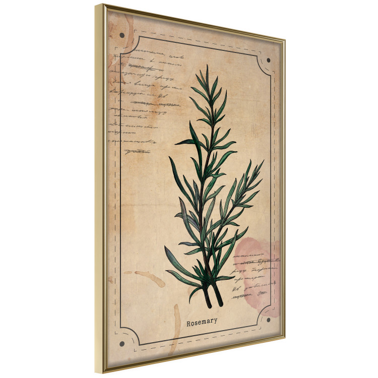 Wall Poster Herbalist's Dream - composition with green plant in vintage style 129422 additionalImage 12