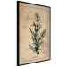 Wall Poster Herbalist's Dream - composition with green plant in vintage style 129422 additionalThumb 13