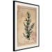 Wall Poster Herbalist's Dream - composition with green plant in vintage style 129422 additionalThumb 2