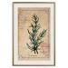 Wall Poster Herbalist's Dream - composition with green plant in vintage style 129422 additionalThumb 20