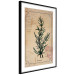 Wall Poster Herbalist's Dream - composition with green plant in vintage style 129422 additionalThumb 6