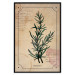 Wall Poster Herbalist's Dream - composition with green plant in vintage style 129422 additionalThumb 16