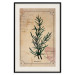 Wall Poster Herbalist's Dream - composition with green plant in vintage style 129422 additionalThumb 19