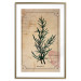 Wall Poster Herbalist's Dream - composition with green plant in vintage style 129422 additionalThumb 14