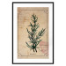 Wall Poster Herbalist's Dream - composition with green plant in vintage style 129422 additionalThumb 17