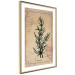 Wall Poster Herbalist's Dream - composition with green plant in vintage style 129422 additionalThumb 7