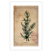 Wall Poster Herbalist's Dream - composition with green plant in vintage style 129422 additionalThumb 25