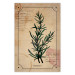 Wall Poster Herbalist's Dream - composition with green plant in vintage style 129422