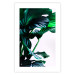 Poster Flexible Leaves - plant with green leaves on a contrasting background 129922 additionalThumb 19