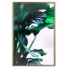 Poster Flexible Leaves - plant with green leaves on a contrasting background 129922 additionalThumb 21