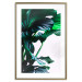 Poster Flexible Leaves - plant with green leaves on a contrasting background 129922 additionalThumb 14