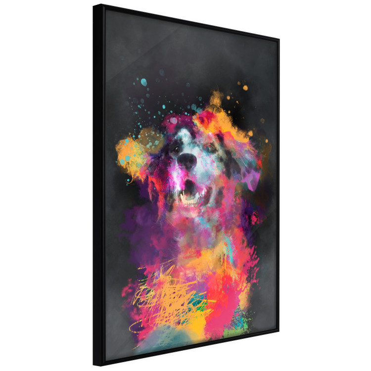 Poster Doggy Joy - multicolored dog in watercolor motif on a black background 130522 additionalImage 11