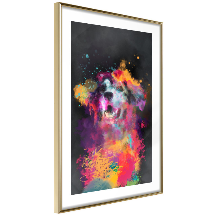 Poster Doggy Joy - multicolored dog in watercolor motif on a black background 130522 additionalImage 7
